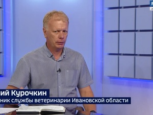 Вести 24 - Интервью В. Курочкин