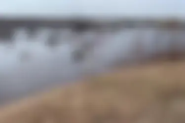 Вода в реках, вышедших из берегов, в Ивановской области прибывает