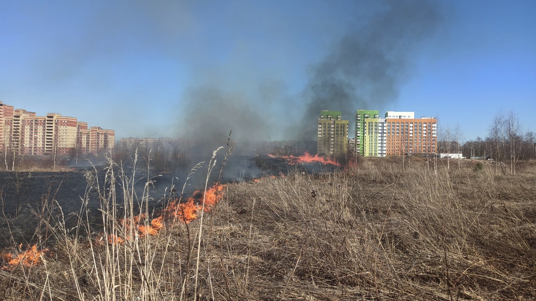 Микрорайон Зелёный город в Вологде заволокло дымом из-за сильного пала травы 