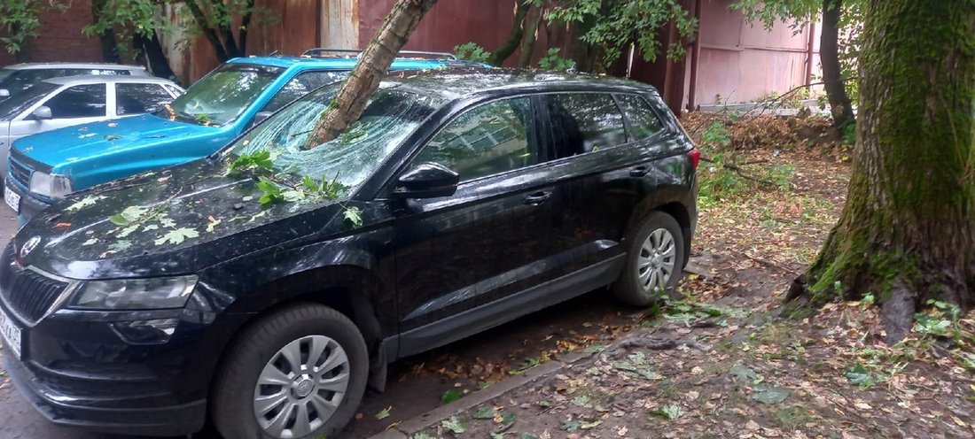 Упавшая ветка тополя опасно пробила лобовое стекло у машины в Череповце