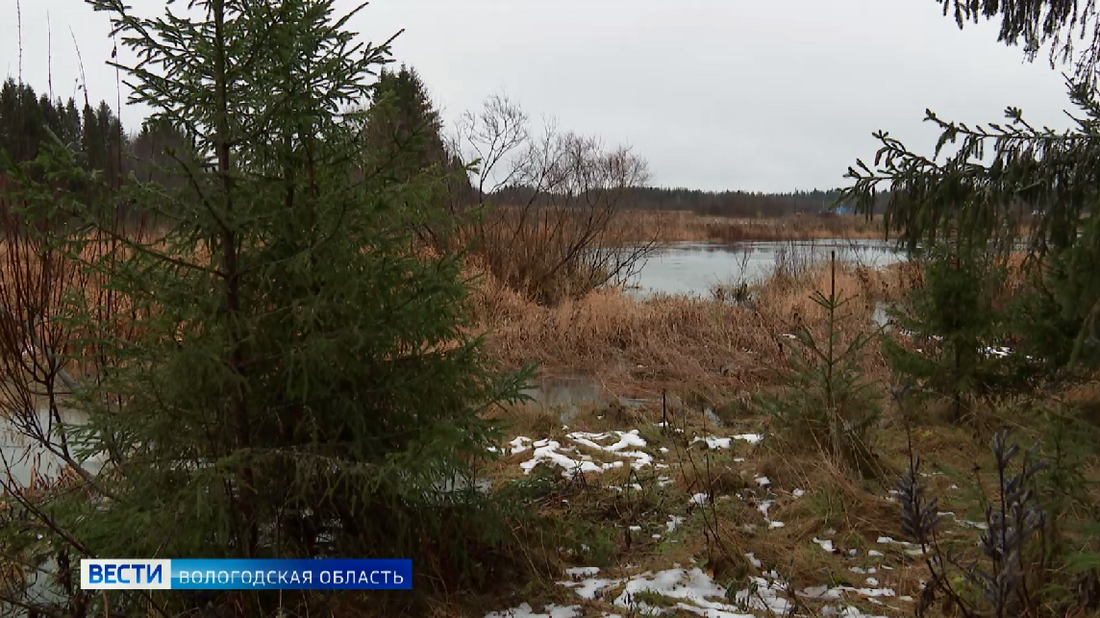Итоги зимнего маршрутного учета охотничьих ресурсов подвели в Вологодской области