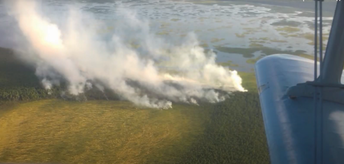 Два лесных пожара ликвидированы с начала мая в Вологодской области