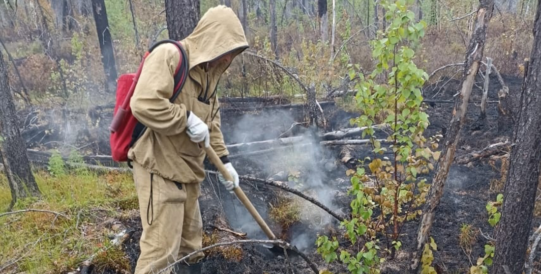 Вологодские лесники и пожарные помогают в тушении масштабных природных возгораний в ХМАО