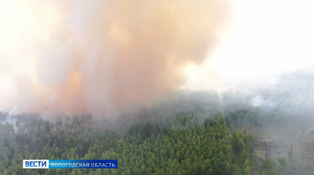 Сразу три лесных пожара тушили в Вологодской области