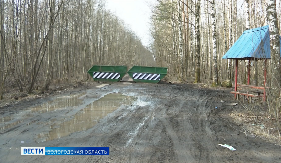 Череповецкие власти приняли сомнительное решение перекрыть лесные дороги на въезде в город