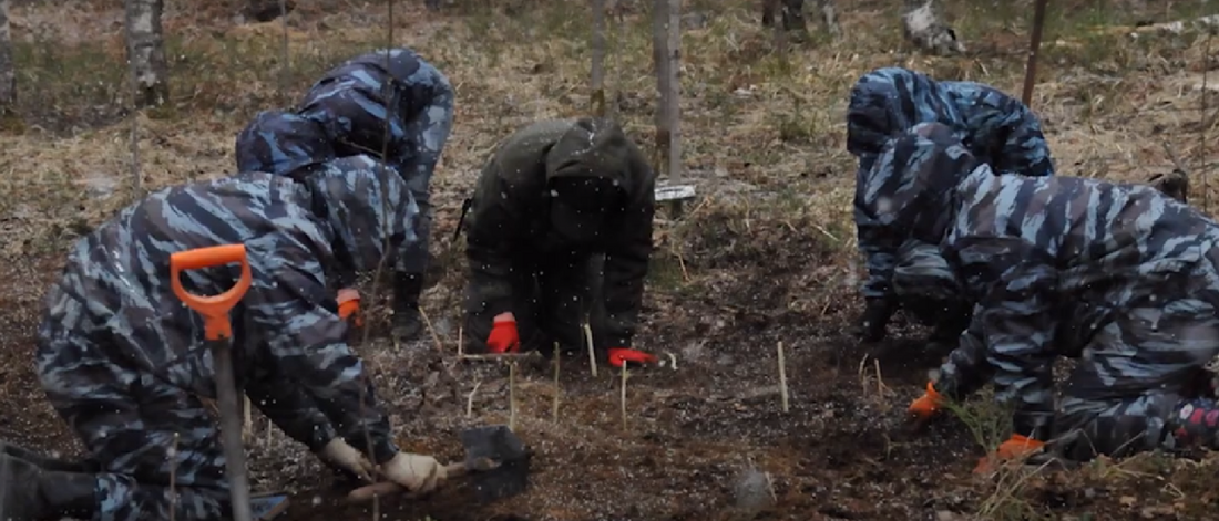 Вологодские поисковики разыскивают родственников погибшего красноармейца