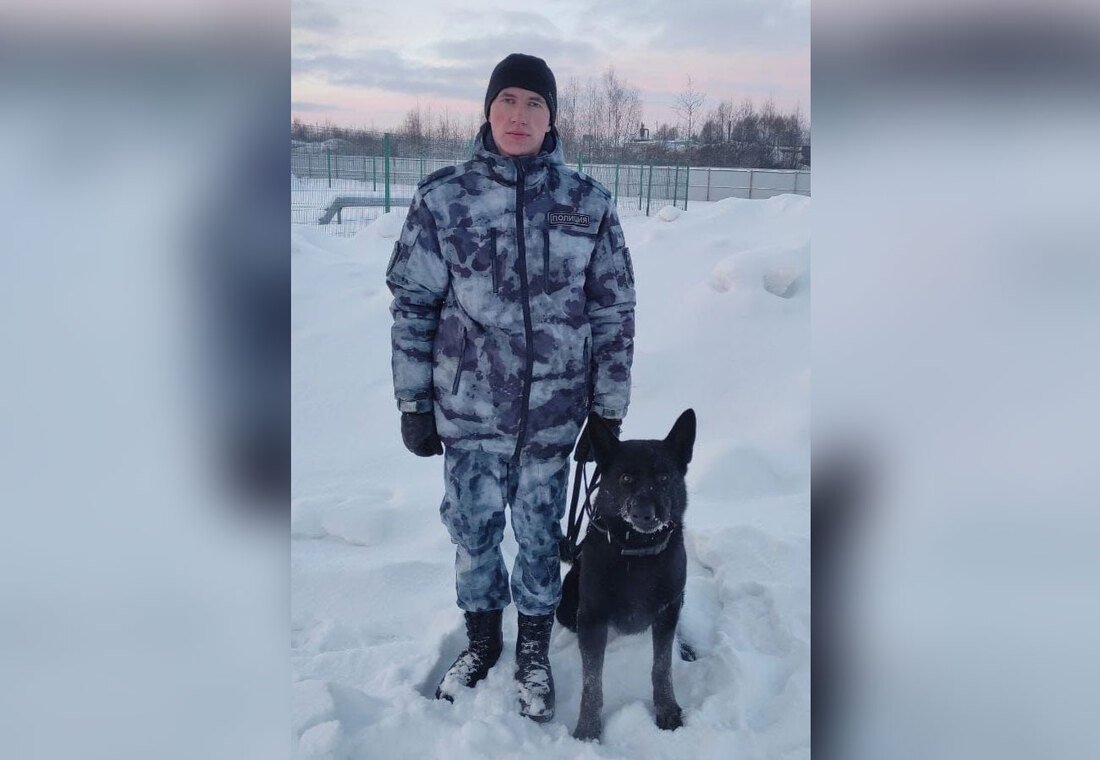 Пропавшего пенсионера, страдающего деменцией, нашёл кинолог с собакой в Вологде