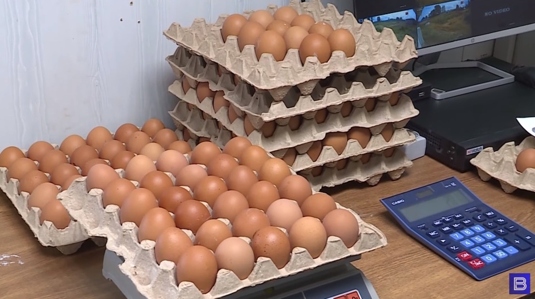 Производителям яйца окажут поддержку в Вологодской области