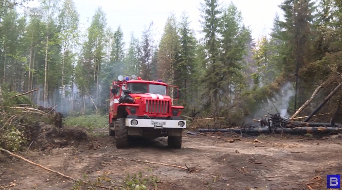 Из-за падения опоры ЛЭП Устюженском лесничестве произошёл пожар 