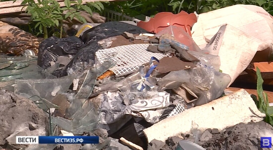 Незаконные свалки обнаружены на территории природного заказника в Тотемском районе