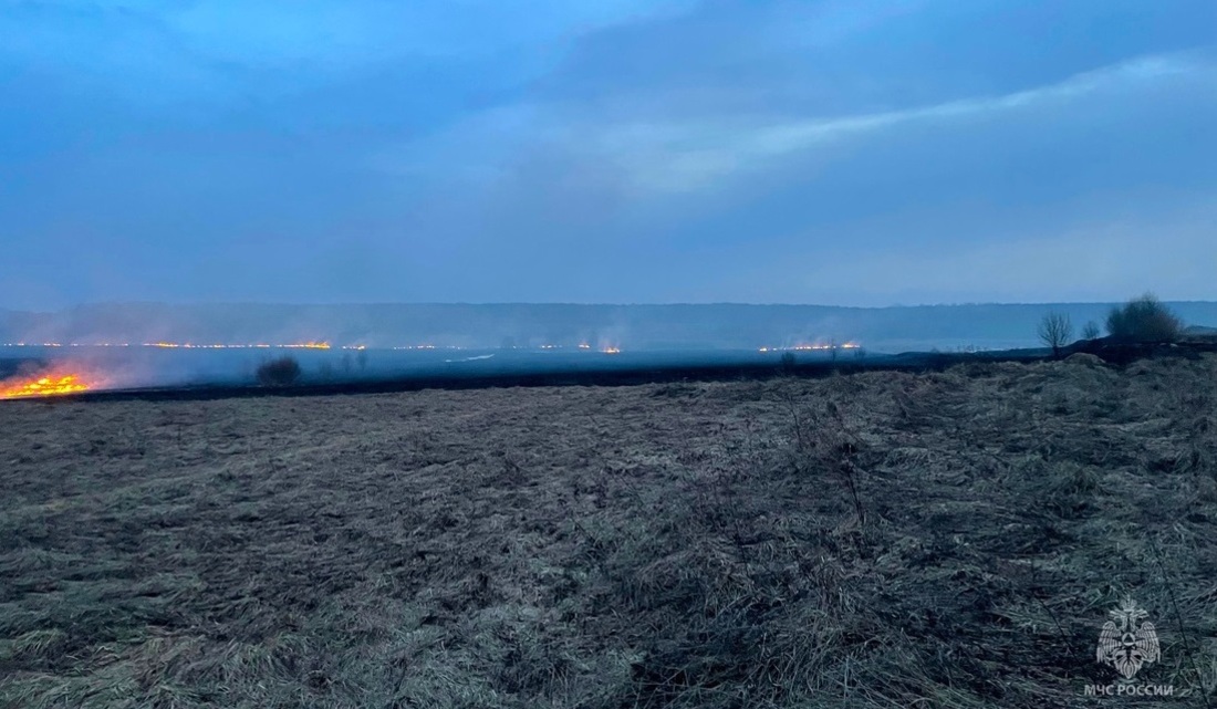 39 гектаров сухой травы сгорело в Сокольском округе