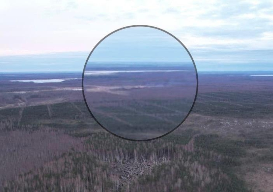 Первый лесной пожар зафиксировали в Вологодской области