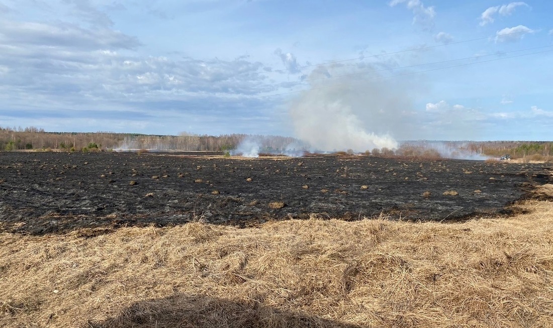 Из-за короткого замыкания загорелась трава в Сямженском округе