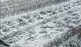 Ивановскую область накрыл снегопад